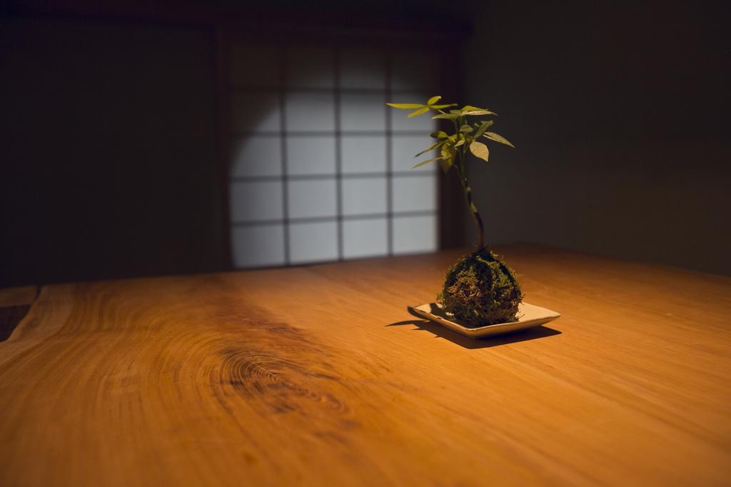 Ryokan Mokuzin Хакуба Екстериор снимка