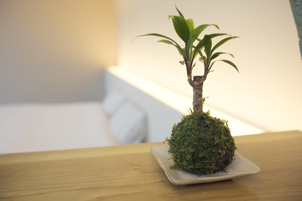 Ryokan Mokuzin Хакуба Стая снимка